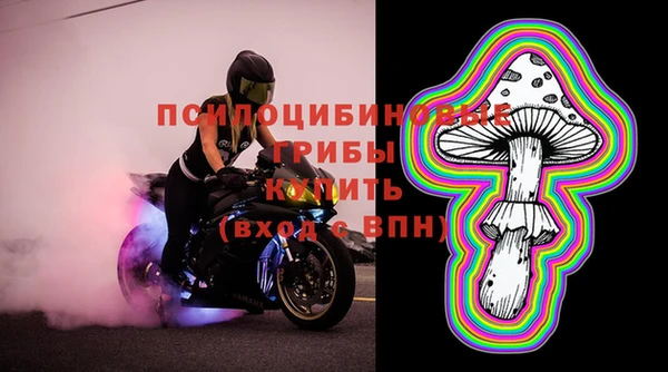 трава Богородицк