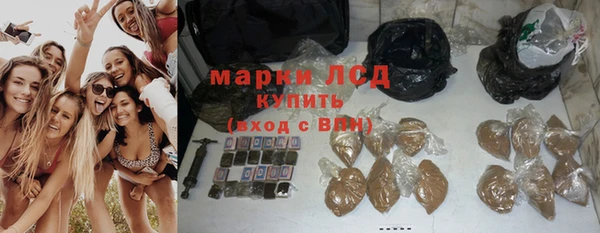ПСИЛОЦИБИНОВЫЕ ГРИБЫ Белоозёрский